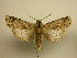  ( - 11-CRBS-2293)  @14 [ ] No Rights Reserved (2010) James Sullivan Research Collection of J. B. Sullivan