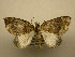  ( - 11-CRBS-2387)  @11 [ ] No Rights Reserved (2011) JB Sullivan Research Collection of J. B. Sullivan