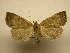  ( - 11-CRBS-2392)  @13 [ ] No Rights Reserved (2011) JB Sullivan Research Collection of J. B. Sullivan