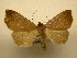  ( - 11-CRBS-2419)  @14 [ ] No Rights Reserved (2011) JB Sullivan Research Collection of J. B. Sullivan