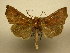  ( - 11-CRBS-2483)  @12 [ ] No Rights Reserved (2011) JB Sullivan Research Collection of J. B. Sullivan