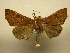  ( - 11-CRBS-2484)  @12 [ ] No Rights Reserved (2011) JB Sullivan Research Collection of J. B. Sullivan