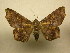  ( - 11-CRBS-2524)  @13 [ ] No Rights Reserved (2011) JB Sullivan Research Collection of J. B. Sullivan