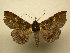  ( - 11-CRBS-2531)  @13 [ ] No Rights Reserved (2011) JB Sullivan Research Collection of J. B. Sullivan