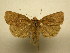  ( - 11-CRBS-2535)  @13 [ ] No Rights Reserved (2011) JB Sullivan Research Collection of J. B. Sullivan