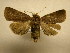  ( - 11-CRBS-2538)  @12 [ ] No Rights Reserved (2011) JB Sullivan Research Collection of J. B. Sullivan