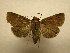  ( - 11-CRBS-2540)  @13 [ ] No Rights Reserved (2011) JB Sullivan Research Collection of J. B. Sullivan