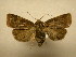  ( - 11-CRBS-2541)  @13 [ ] No Rights Reserved (2011) JB Sullivan Research Collection of J. B. Sullivan