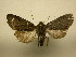  ( - 11-CRBS-2546)  @14 [ ] No Rights Reserved (2011) JB Sullivan Research Collection of J. B. Sullivan