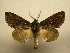 ( - 11-CRBS-2577)  @14 [ ] No Rights Reserved (2012) JB Sullivan Research Collection of J. B. Sullivan