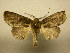  ( - 11-CRBS-2712)  @14 [ ] No Rights Reserved (2011) JB Sullivan Research Collection of J. B. Sullivan
