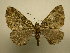  ( - 11-CRBS-2781)  @14 [ ] No Rights Reserved (2011) JB Sullivan Research Collection of J. B. Sullivan