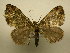  ( - 11-CRBS-2782)  @14 [ ] No Rights Reserved (2011) JB Sullivan Research Collection of J. B. Sullivan