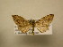  ( - 11-CRBS-2857)  @12 [ ] No Rights Reserved (2011) JB Sullivan Research Collection of J. B. Sullivan