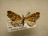  ( - 11-CRBS-2860)  @13 [ ] No Rights Reserved (2011) JB Sullivan Research Collection of J. B. Sullivan