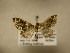  ( - 11-CRBS-2866)  @13 [ ] No Rights Reserved (2011) JB Sullivan Research Collection of J. B. Sullivan