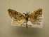  ( - 11-CRBS-2870)  @12 [ ] No Rights Reserved (2011) JB Sullivan Research Collection of J. B. Sullivan