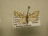  ( - 11-CRBS-2933)  @12 [ ] No Rights Reserved (2011) JB Sullivan Research Collection of J. B. Sullivan