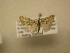  ( - 11-CRBS-2936)  @12 [ ] No Rights Reserved (2011) JB Sullivan Research Collection of J. B. Sullivan