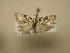 ( - 11-CRBS-2937)  @13 [ ] No Rights Reserved (2011) JB Sullivan Research Collection of J. B. Sullivan