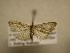  ( - 11-CRBS-2938)  @12 [ ] No Rights Reserved (2011) JB Sullivan Research Collection of J. B. Sullivan