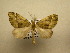  ( - 12-CRBS-024)  @12 [ ] No Rights Reserved (2012) JB Sullivan Research Collection of J.B. Sullivan