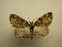  ( - 12-CRBS-045)  @14 [ ] No Rights Reserved (2012) JB Sullivan Research Collection of J.B. Sullivan