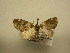  ( - 12-CRBS-047)  @12 [ ] No Rights Reserved (2012) JB Sullivan Research Collection of J.B. Sullivan