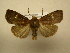  ( - 12-CRBS-120)  @13 [ ] No Rights Reserved (2012) JB Sullivan Research Collection of J.B. Sullivan