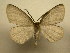  ( - 12-CRBS-137)  @14 [ ] No Rights Reserved (2012) JB Sullivan Research Collection of J.B. Sullivan