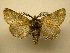  ( - 12-CRBS-170)  @14 [ ] No Rights Reserved (2012) JB Sullivan Research Collection of J.B. Sullivan