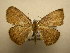  ( - 12-CRBS-206)  @13 [ ] No Rights Reserved (2012) JB Sullivan Research Collection of J.B. Sullivan