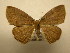  ( - 12-CRBS-211)  @13 [ ] No Rights Reserved (2012) JB Sullivan Research Collection of J.B. Sullivan