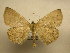  ( - 12-CRBS-218)  @14 [ ] No Rights Reserved (2012) JB Sullivan Research Collection of J.B. Sullivan
