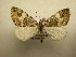  ( - 12-CRBS-266)  @14 [ ] No Rights Reserved (2012) JB Sullivan Research Collection of J.B. Sullivan