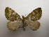  ( - 12-CRBS-277)  @13 [ ] No Rights Reserved (2012) JB Sullivan Research Collection of J.B. Sullivan