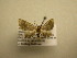  ( - 12-CRBS-440)  @13 [ ] No Rights Reserved (2012) JB Sullivan Research Collection of J.B. Sullivan