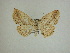  ( - 13-CRBS-012)  @14 [ ] No Rights Reserved (2013) James Sullivan Research Collection of J. B. Sullivan