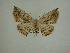  ( - 13-CRBS-013)  @13 [ ] No Rights Reserved (2013) James Sullivan Research Collection of J. B. Sullivan
