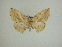  ( - 13-CRBS-014)  @13 [ ] No Rights Reserved (2013) James Sullivan Research Collection of J. B. Sullivan