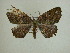  ( - 13-CRBS-016)  @13 [ ] No Rights Reserved (2013) James Sullivan Research Collection of J. B. Sullivan