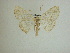  ( - 13-CRBS-020)  @12 [ ] No Rights Reserved (2013) James Sullivan Research Collection of J. B. Sullivan