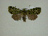  ( - 13-CRBS-043)  @13 [ ] No Rights Reserved (2013) James Sullivan Research Collection of J. B. Sullivan