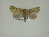  ( - 13-CRBS-056)  @12 [ ] No Rights Reserved (2013) James Sullivan Research Collection of J. B. Sullivan