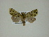  ( - 13-CRBS-059)  @12 [ ] No Rights Reserved (2013) James Sullivan Research Collection of J. B. Sullivan