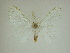  ( - 13-CRBS-090)  @11 [ ] No Rights Reserved (2013) James Sullivan Research Collection of J. B. Sullivan