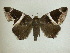  ( - 13-CRBS-117)  @13 [ ] No Rights Reserved (2013) James Sullivan Research Collection of J. B. Sullivan