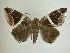  ( - 13-CRBS-118)  @13 [ ] No Rights Reserved (2013) James Sullivan Research Collection of J. B. Sullivan