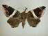  ( - 13-CRBS-119)  @13 [ ] No Rights Reserved (2013) James Sullivan Research Collection of J. B. Sullivan