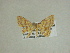  (Eois Sullivan1200 - 13-CRBS-143)  @12 [ ] No Rights Reserved (2013) James Sullivan Research Collection of J. B. Sullivan